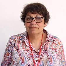 Morreu professora e investigadora Filomena Barros