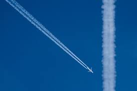 Wer einen üppigen pflanzenwuchs in seinem aquarium will, muss der unterwasserwelt co2 zuführen. Aozmk 7jew3w0m