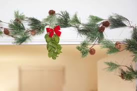 A poinsettia is a pointed red flower that is often associated with the christmas season. Traditions Behind Christmas Plants And Bushes