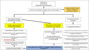 Therapeutic Strategies For Severe Covid 19 A Position Paper From The Italian Society Of Infectious And Tropical Diseases Simit Clinical Microbiology And Infection