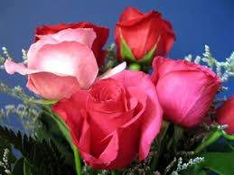 Check spelling or type a new query. Lovely Flowers For A Lovely Friend Ecard