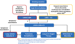 Image result for COPD Management