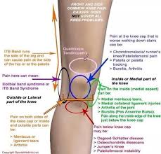 Pin On Anatomy