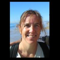 300+ perfiles de «Calef»