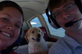 FosterDogShortFilm (@FosterDogFilm)