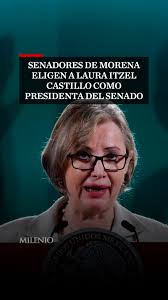 Laura Itzel Castillo será a partir de este 1 de septiembre la nueva  presidenta de la Mesa Directiva del Senado, por lo que sucederá en el cargo  a Gerardo Fernández Noroña. La