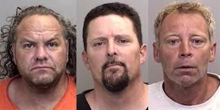 Mendocino County Today: Sunday, June 25, 2017