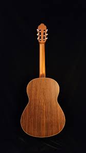 Calvin Cramer Acoustic Guitar, Rosewood back — Acoustic Strings of New  England