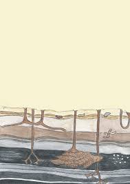 AN INTEGRATED GEOCHEMICAL AND ICHNOLOGICAL APPROACH TO RECONSTRUCTING THE  FORMATION OF ORGANIC-CARBON-RICH SEDIMENTS AND SEDIMEN