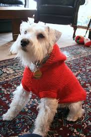 Cats get cold, too, so use this free knitting pattern to keep them warm. Hoodie Dog Coat Dog Sweater Pattern Dog Coat Pattern Knitting Patterns For Dogs