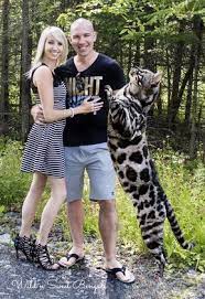 But males are generally bigger than females. Family Photo With Our Big Silver Charcoal Bengal Cat More Beautiful Bengal Cats And Kittens At Www Wildnsweetbeng Bengal Cat Bengal Cat Breeders Bengal Kitten