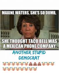 25 Best Memes About Stupid Democrat Stupid Democrat Memes