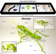 Lego Taxidermied Insect Collection Is All About Bugs And Bricks Lego Insect Collection Lego Animals