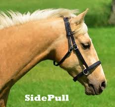 We did not find results for: Something S Missing Here Bitless Bridles Two Horse Tack Blog