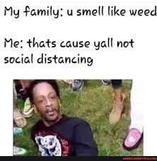 My Family U Smell Like Weed Me Thats Cause Yall Not Social Distancing America S Best Pics And Videos