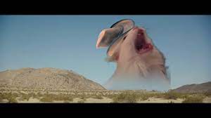 To the place i belong. Screaming Cowbow Cat Meme Youtube