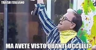 Please note that if you are under 18, you won't be able to access this site. Malgioglio Banana Gif