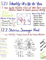 Chemistry Anchor Charts Human Body Systems Todd County High School Human Body Systems Body Systems Health Lessons