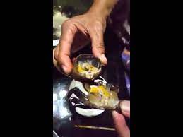 Hukum asal semua binatang laut adalah halal. Hati Hati Guys Youtube