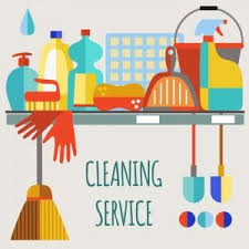 Image Result For Cleaning Services Carpet Cleaning Pet Stains Cleaning Service Natural Carpet Cleaning