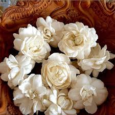 For the most fragrant flowerheads, choose a white or yellow variety of freesia. Symbolism Of Indian Flowers Thursd