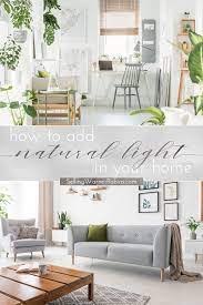 Key Things Every Living Room Should Have Home Decor Home Living Room Trends