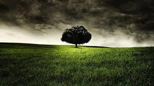 Here you can find the best hd landscape wallpapers uploaded by our community. Dark Landscape Wallpapers Top Free Dark Landscape Backgrounds Wallpaperaccess
