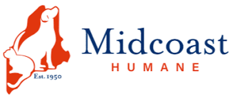 The maine adoption reunion registry is a passive registry: Midcoast Humane Midcoast Humane