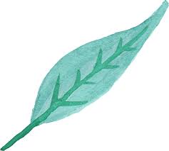 25 watercolor leaf png transparent vol 3 onlygfx com 25 watercolor leaf png transparent