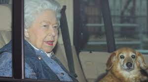 Queen Elizabeth Ii Trauert Um Ihren Geliebten Hund Vulcan