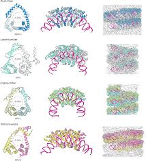 Image result for Viridivia