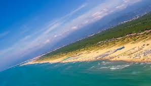 Riserva naturale della Lecciona - Parco San Rossore