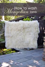 Maybe you would like to learn more about one of these? The Day I Washed My Mongolian Lambskin Throw The Art Of Doing Stuff