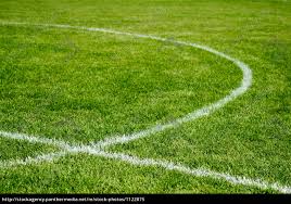 Im abstand von 16,50 m zu den innenkanten der torpfosten verlaufen zwei linien rechtwinklig zur torlinie. Fussballfeld Interventing Linien Lizenzfreies Bild 1122875 Bildagentur Panthermedia