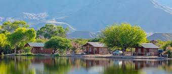 Image result for Avocado Green 1983 Roper