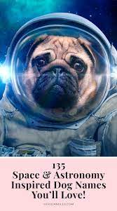 135 Space And Astronomy Inspired Dog Names In 2021 Dog Names Girl Dog Names Cute Puppy Names