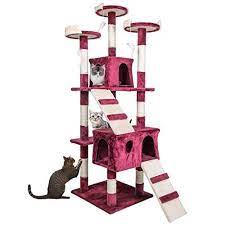Pin On Cats Lover