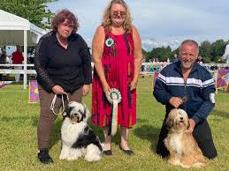 Every penny donated will go towards veterinary costs and expenses. The Tibetan Terrier Association Home Facebook