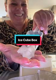 Baccarat Ice Cube Maker
