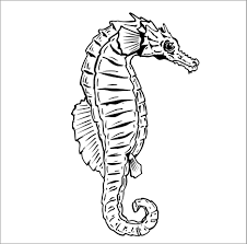Check spelling or type a new query. Realistic Seahorse Coloring Page Coloringbay