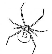 Black widow coloring pages black widow marvel coloring pages marvel black panther. Pin On Work Art Baking Ideas