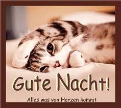 Eine weitere verwandte suche:lustige bilder frauen,lustige bilder camper,lustige bilder dienstag kostenlos,lustige bilder kaffee trinken,lustige bilder ofen,lustige bilder. á Gute Nacht Bilder Gute Nacht Gb Pics Gbpicsonline