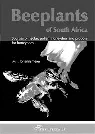 Image result for Hirpicium bechuanense