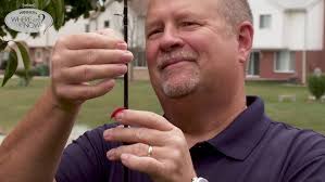 Inside PCH: Episode #11 PCHkeno Cash Out Event