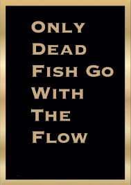 Only Dead Fish Dead Fish Furry Meme Sayings