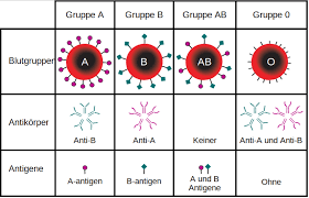 Das Ab0 System Lernen Mit Serlo
