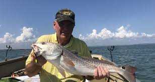 Carl sniffed the air recently among a greater boston river and pronounced, they are here! Georgia Fishing Report September 13 2019 Georgia Wildlife Blog