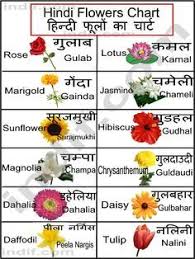 List Of Common Flowers To Print This Chart Right Click On