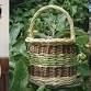 ‘Gather and Weave’: An oval basketry workshop with - Happy River Ltd, Bere Rd Event Image