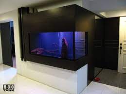 Maybe you would like to learn more about one of these? 6 Feet Tanks 6ft Ada Style Aquarium With Cabinet N30 Tank